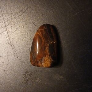 Brownish With Pretty Markings